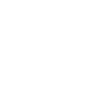 MEGA logo